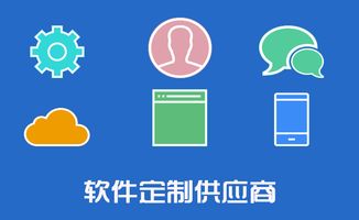 seo seo的分類